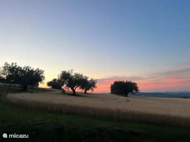 Oléandro | Italie, Marche, Arcevia - appartement