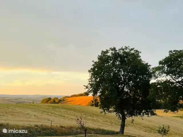 Oléandro | Italie, Marche, Arcevia - appartement