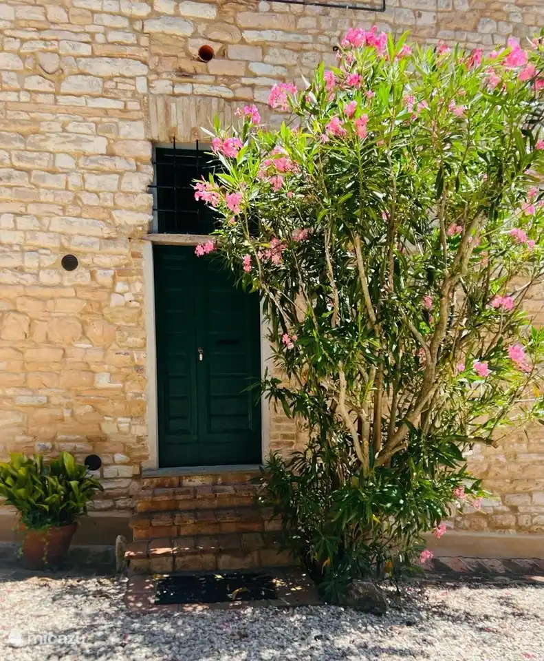 Puerta principal Oleandro