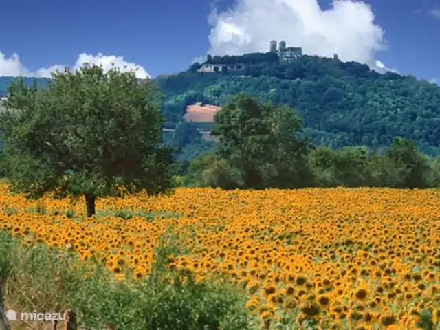 Maison de la rivière | France, Yonne, Saint-Père-sous-Vézelay - maison de vacances Fibrelay