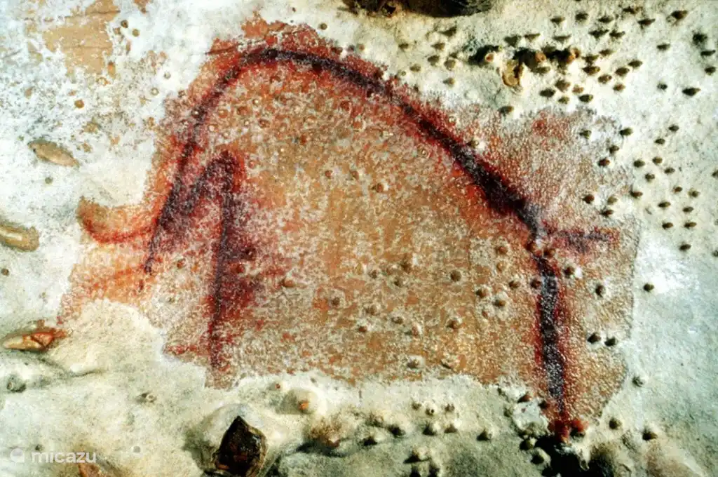 Arcy-Höhlen voller 30.000 Jahre alter Wandmalereien