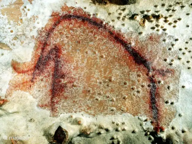 Maison de la rivière | France, Yonne, Saint-Père-sous-Vézelay - maison de vacances Grottes d'Arcy, pleines de peintures murales vieilles de 30 000 ans