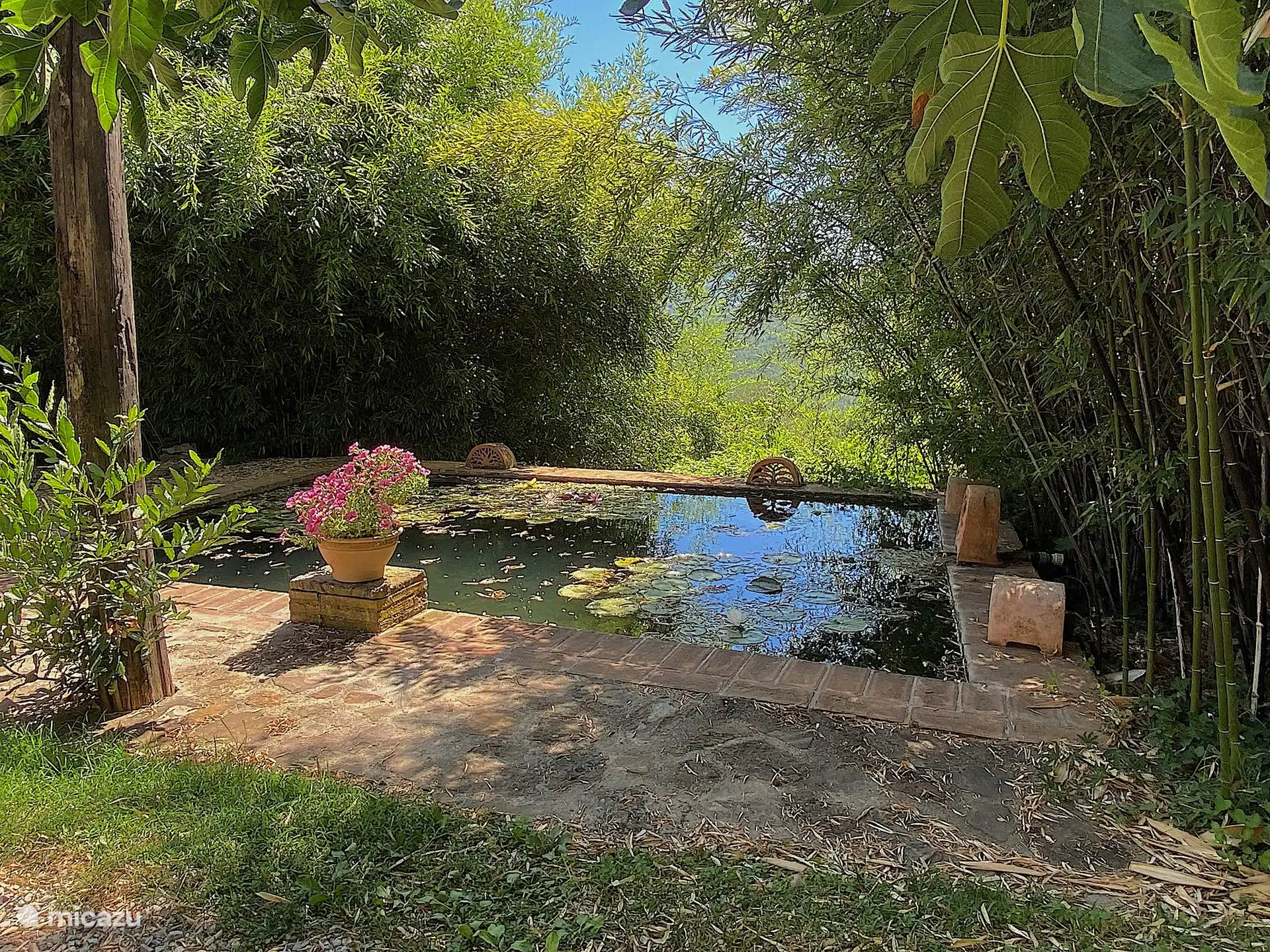 A corner of the garden