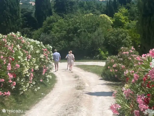 appartement huren in Italië, Marche, Arcevia – Papavero