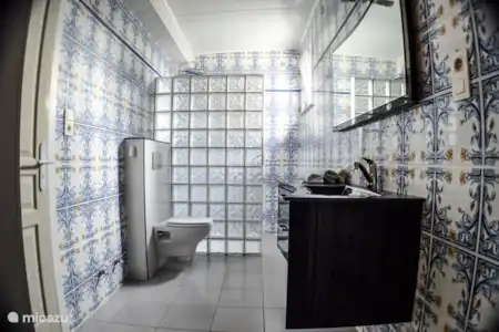 Vakantiehuis Portugal, Alentejo, Montemor-O-Novo vakantiehuis Casal de tiago badkamer