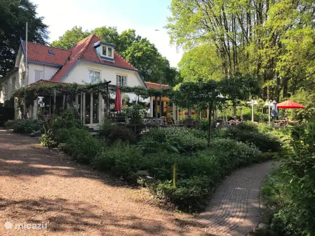 Parc naturel Boshuisje Veluwe Hoefbos | Pays-Bas, Gueldre, Otterlo - maison mitoyenne Le restaurant Carnegie