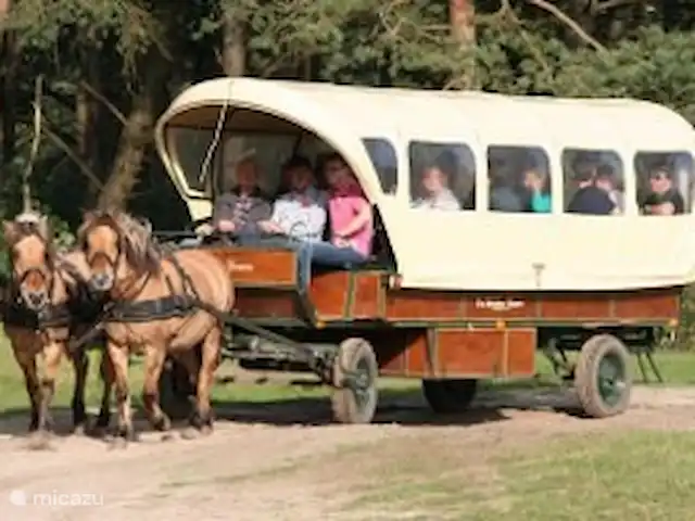 Parc naturel Boshuisje Veluwe Hoefbos | Pays-Bas, Gueldre, Otterlo - maison mitoyenne Sur la route avec le Beekse Hoeve