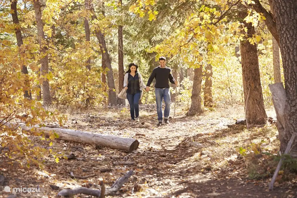 Die schönsten Wanderwege
