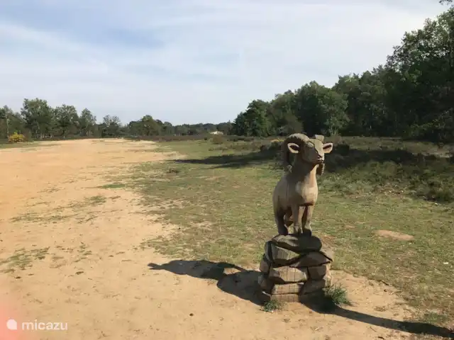 Parc naturel Boshuisje Veluwe Hoefbos | Pays-Bas, Gueldre, Otterlo - maison mitoyenne Heideveld à Otterlo