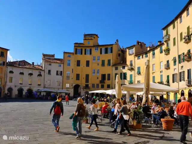 blokhut / lodge huren in Italië, Toscane, Viareggio – Chalet Toscane Italië Lucca, 25 km van de camping