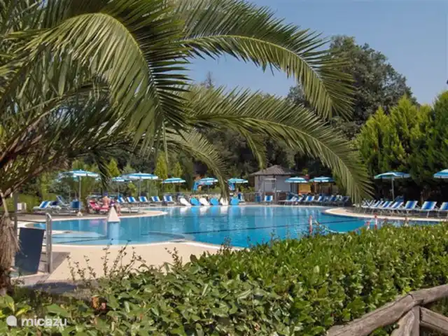 blokhut / lodge huren in Italië, Toscane, Viareggio – Chalet Toscane Italië Zwembad van de camping