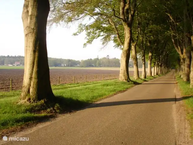 Pake's Hûs huren in Nederland, Friesland, Oudemirdum - vakantiehuis de beukenlaan