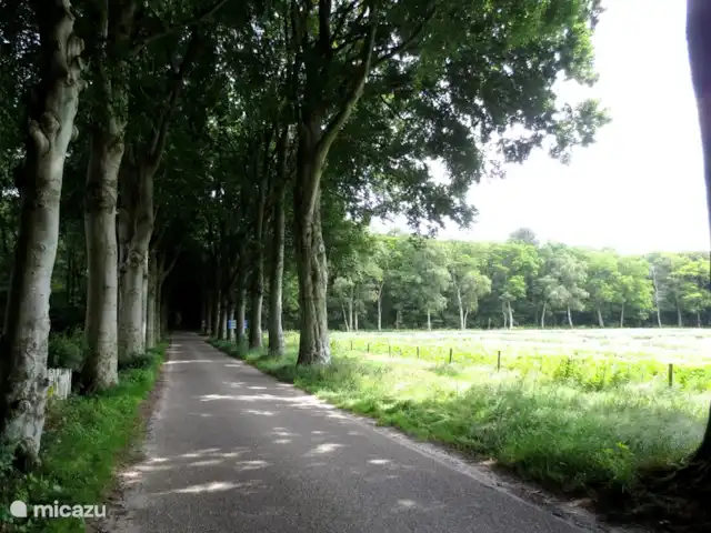 Pake's Hûs huren in Nederland, Friesland, Oudemirdum - vakantiehuis Oudemirdum