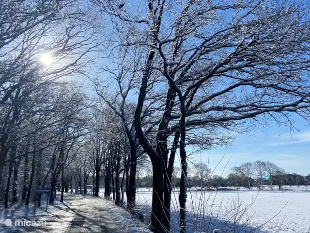 Pake's Hûs huren in Nederland, Friesland, Oudemirdum - vakantiehuis maart 2023.....een sprookje