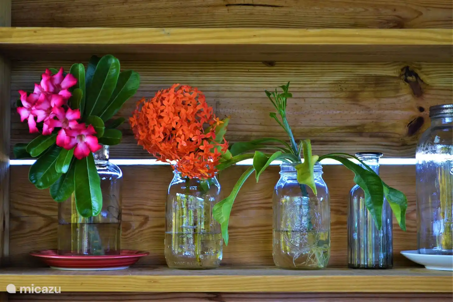 La cocina exterior, cerca del estudio, con mesa de comedor a la sombra y una pequeña biblioteca.