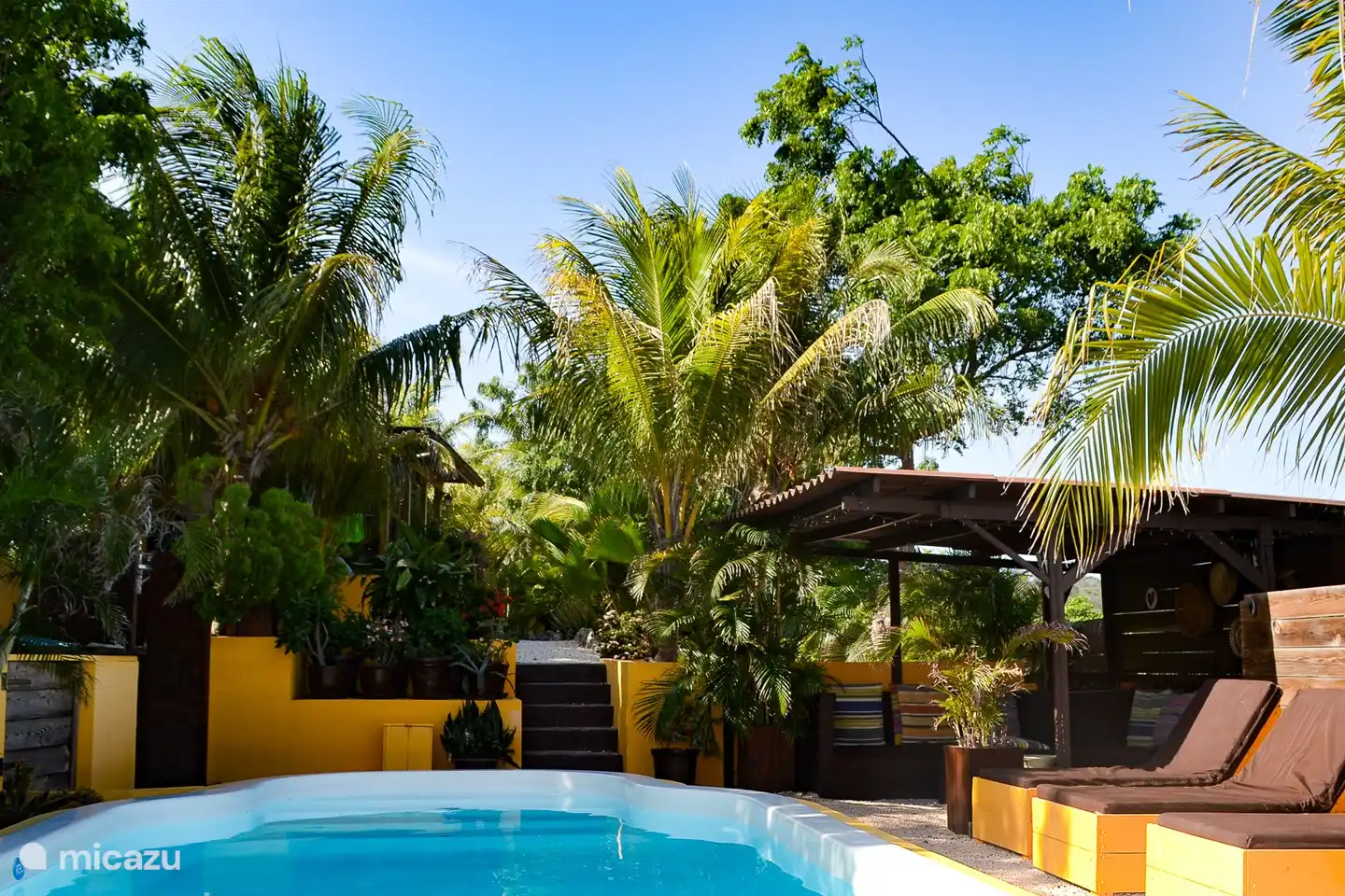 La piscina en el jardín tropical.