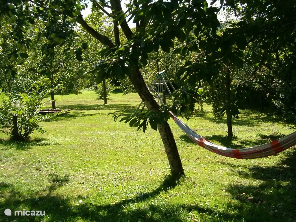 Teil des Obstgartens
