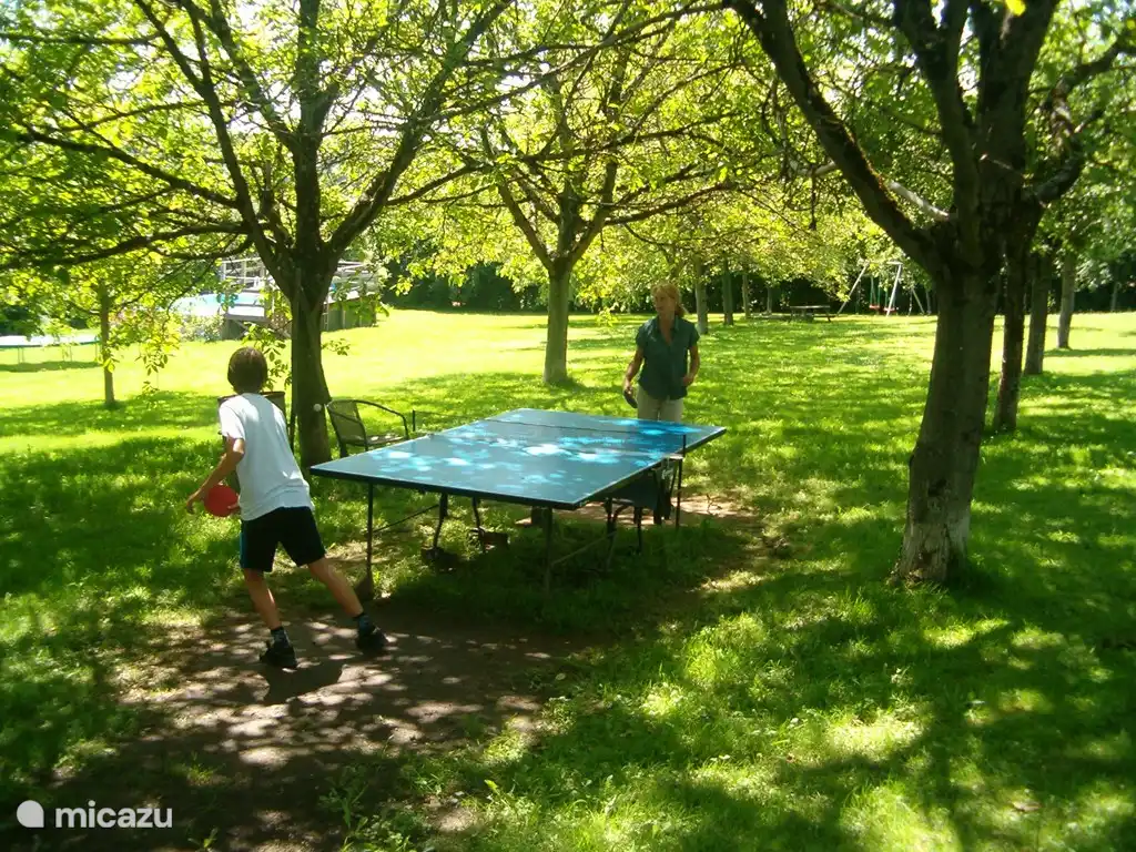 Tischtennis im Obstgarten