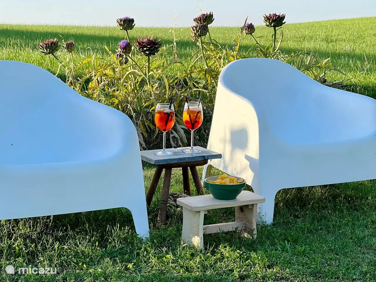 Aperitivo en el jardín