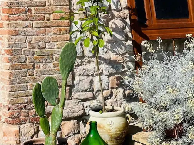 Fietsen, Italië, Marche, Arcevia, appartement Iris In piazza