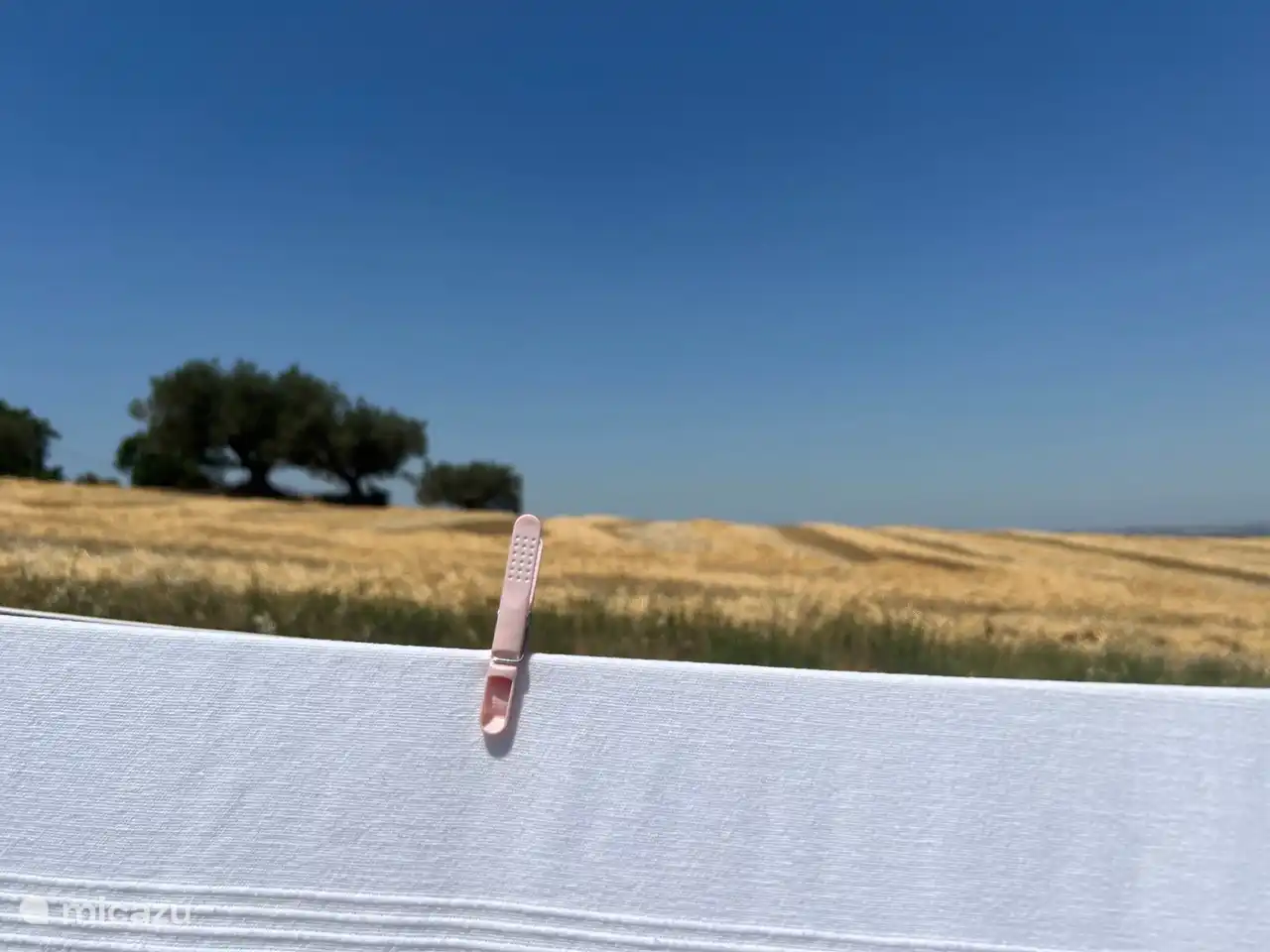 Vista sobre los campos