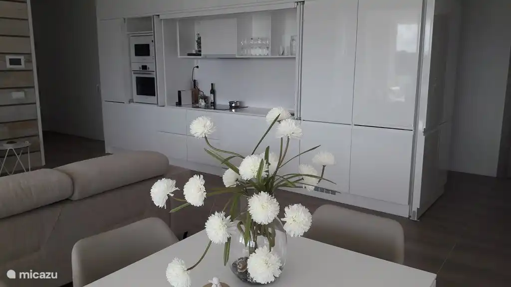 Volledig uitgeruste keukenwand.