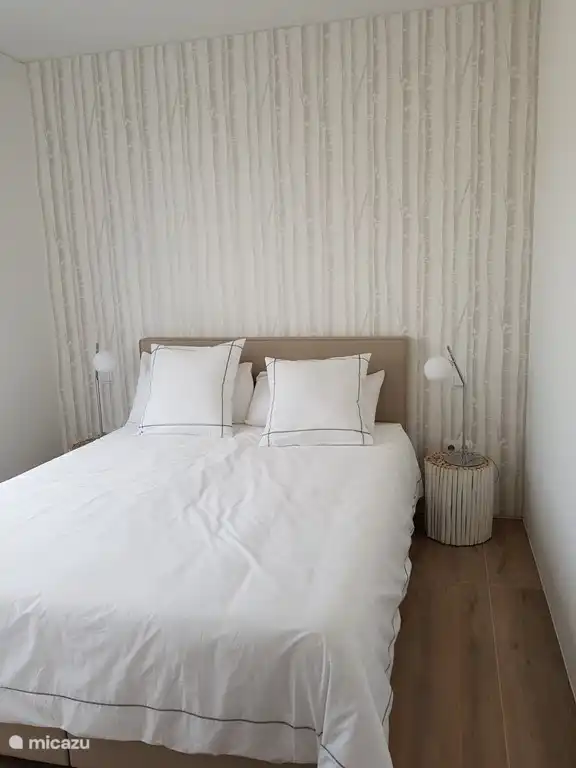 Tweede slaapkamer met inbouwkasten en dubbelbed. 