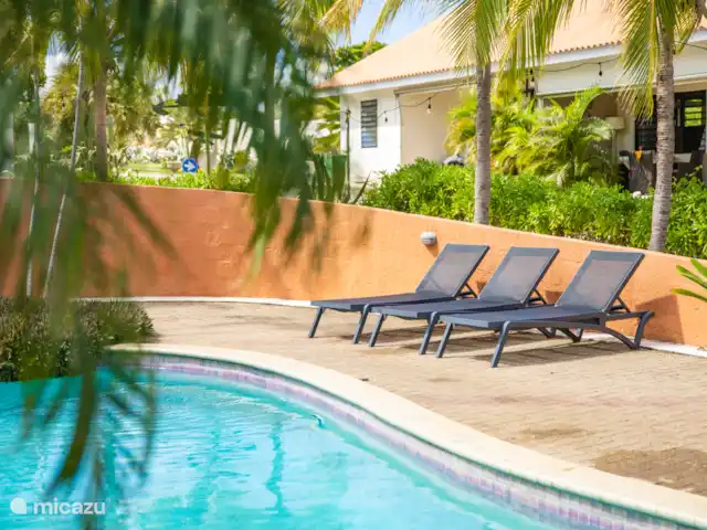 ABC Resort Curaçao A | Curaçao, Curaçao-Centre, Julianadorp - appartement Piscine