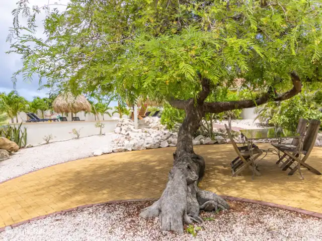 ABC Resort Curaçao A | Curaçao, Curaçao-Centre, Julianadorp - appartement Un joli siège sous le tamarinier
