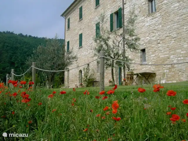 appartement huren in Italië, Marche, Arcevia – Malva Groot terras voorkant Villa Belfiore met terras Malva