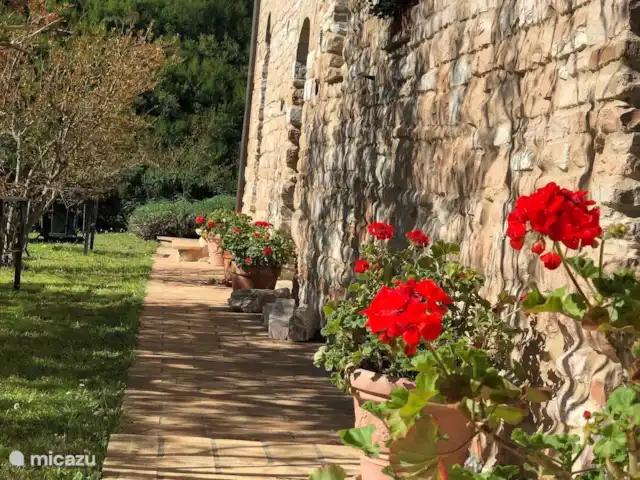appartement huren in Italië, Marche, Arcevia – Malva Pad naar Malva