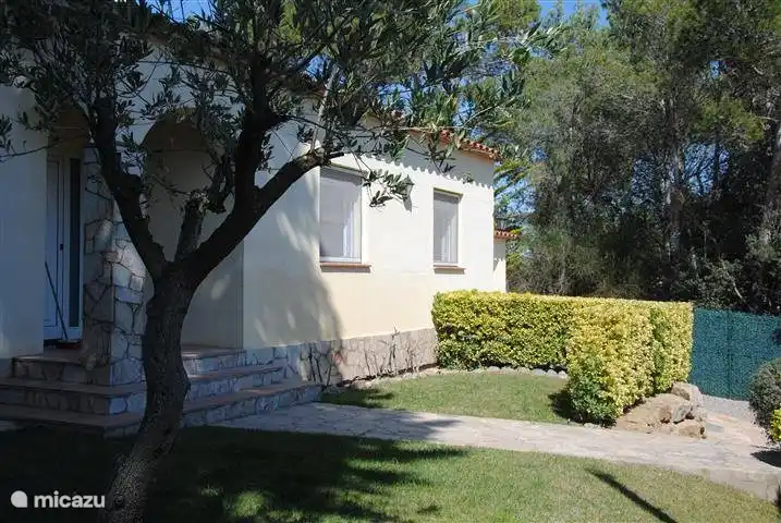 Die Front mit Blick auf das Meer und die Abkühlung des Olivenbaums im Vorgarten
