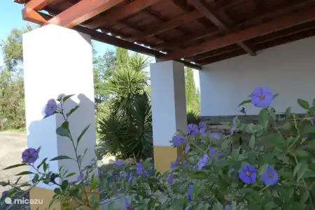 Vakantiehuis Portugal, Alentejo, Cercal do Alentejo vakantiehuis Casa Sines Casa Sines