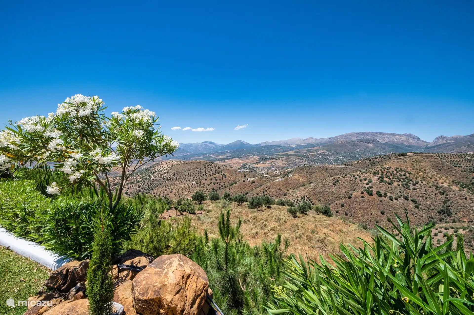 Panoramablick von der Seite des Gartens 