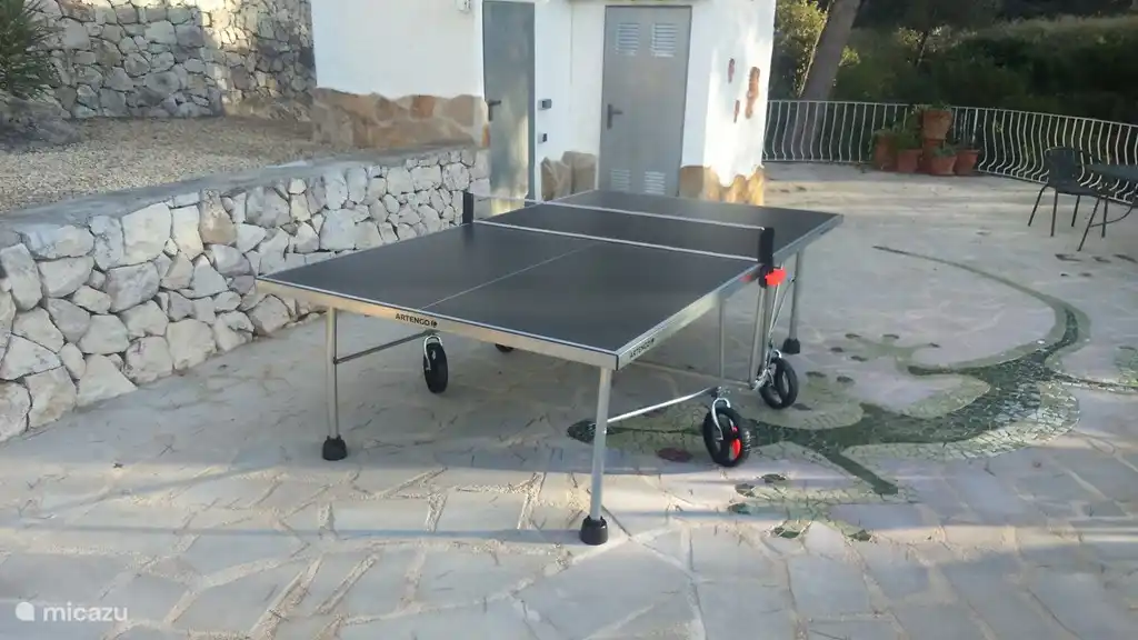 table tennis/ping pong