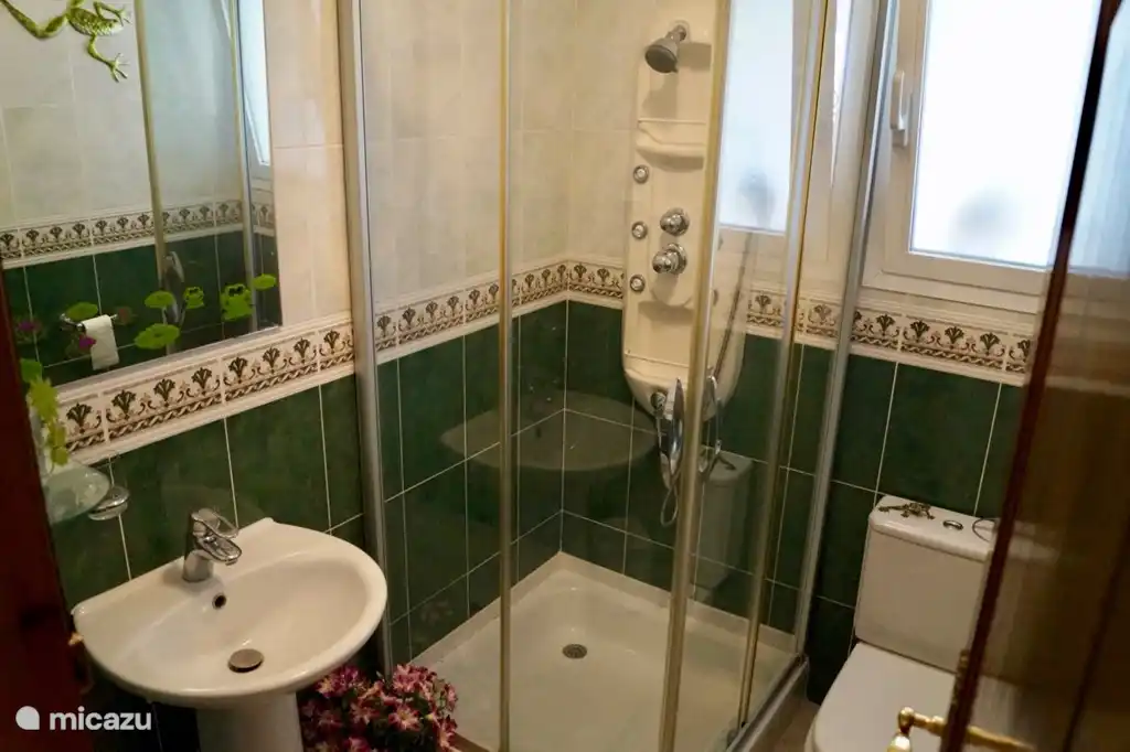 Bathroom 2 with shower