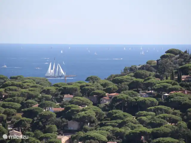 Villa Bonbonnette huren in Frankrijk, Côte d´Azur, Sainte-Maxime - villa Uitzicht vanuit de tuin naar de uitgestrektheid van de middellandse zee.