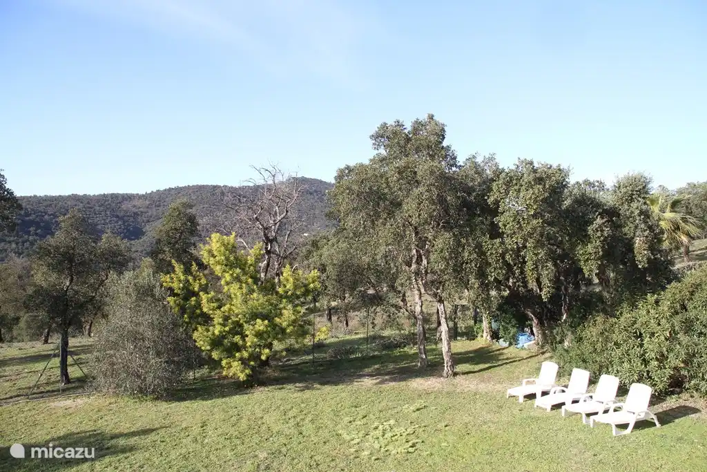 Niedriger Teil des Gartens, angrenzend an das Naturschutzgebiet