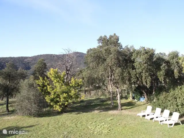Villa Bonbonnette huren in Frankrijk, Côte d´Azur, Sainte-Maxime - villa Lage deel van de tuin, grenzend aan het natuurgebied