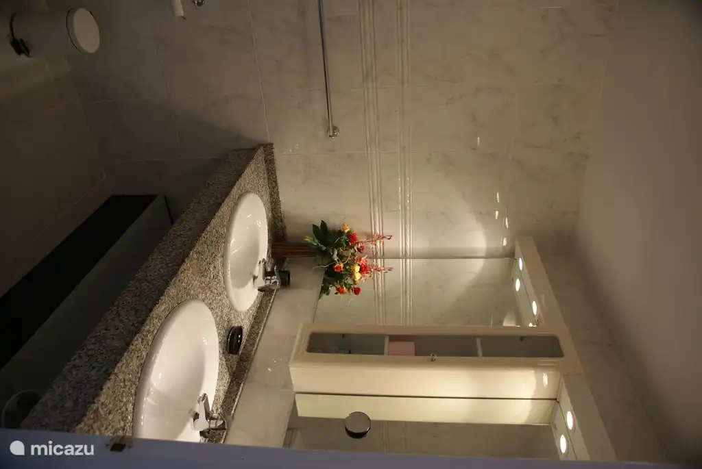 bathroom with walk-in shower, double sink and toilet