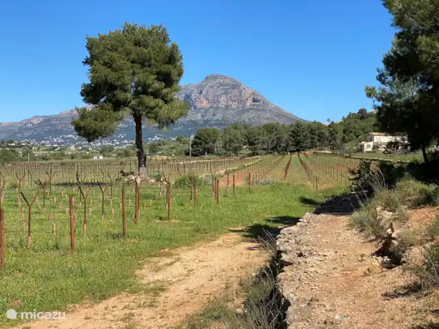 Casa Lynn | Espagne, Costa Blanca, Jávea - villa De Casa Lynn, vous pouvez faire de belles promenades.