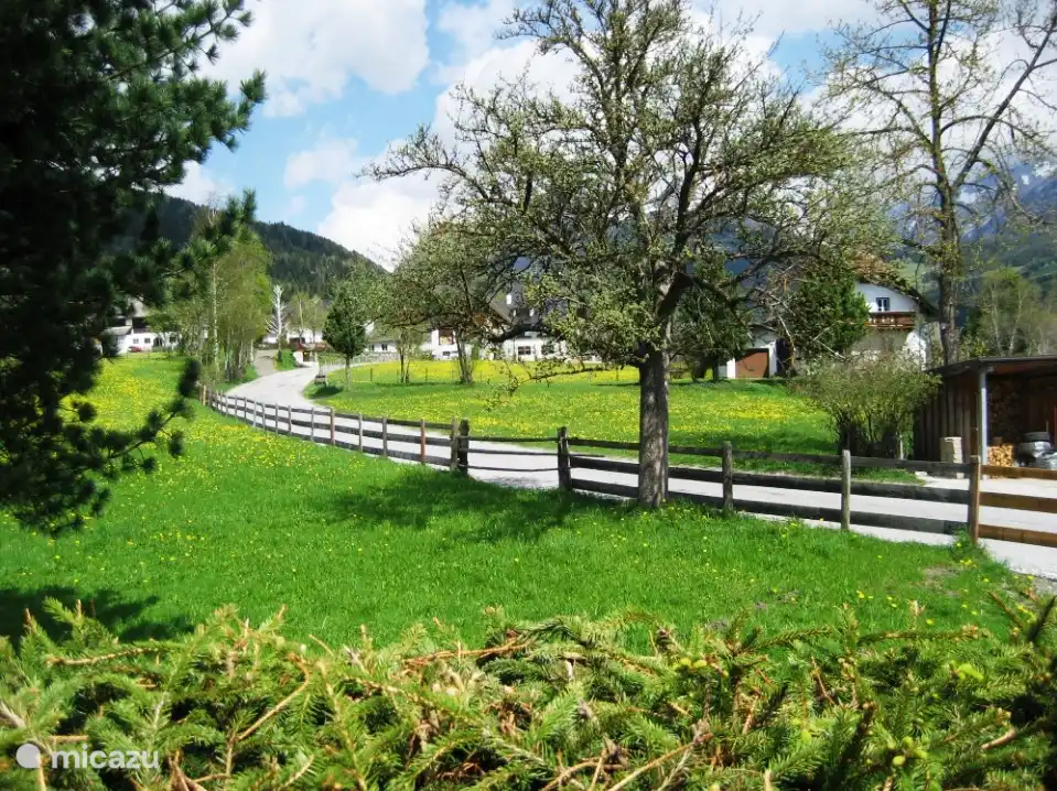 Uitzicht achterzijde 