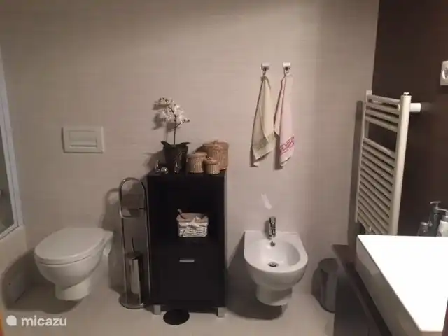 Location de Vacances Portugal, Costa de Prata, São Martinho do Porto, appartement - Bel appartement d'angle avec grande terrasse salle de bains
