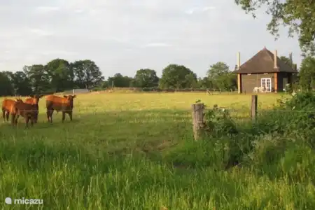 Vakantiehuis Nederland, Overijssel, Wierden boerderij Hooiberg Slig 1 Boerderij