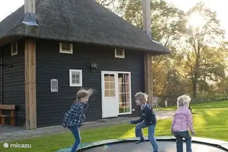 Vakantiehuis Nederland, Overijssel, Wierden boerderij Hooiberg Slig 1 Trampoline