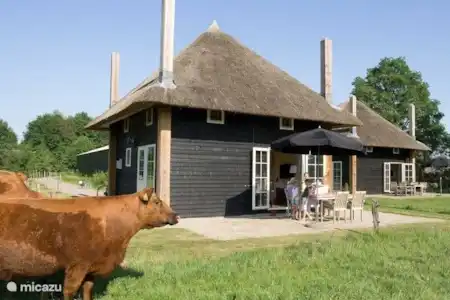 Vakantiehuis Nederland, Overijssel, Wierden boerderij Hooiberg Slig 1 Reggehooibergen