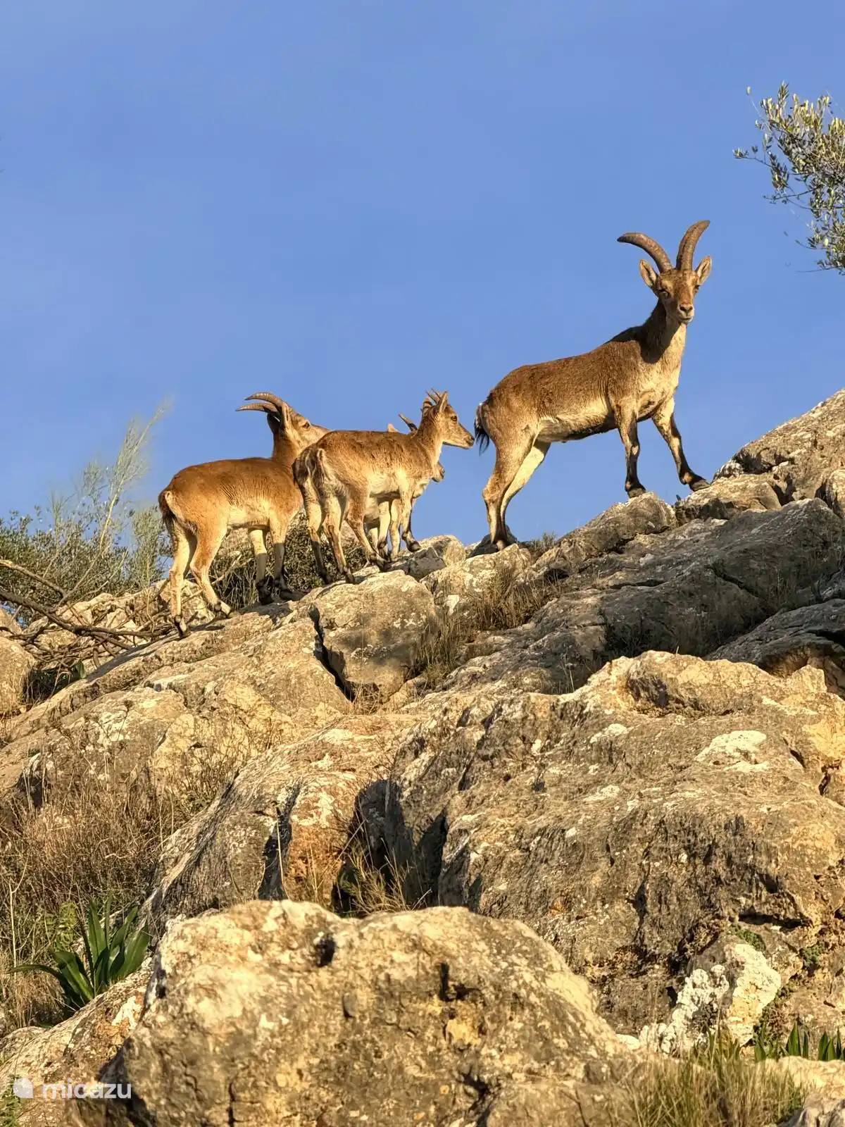 Je peux vous assurer que les voisins sont sympathiques !