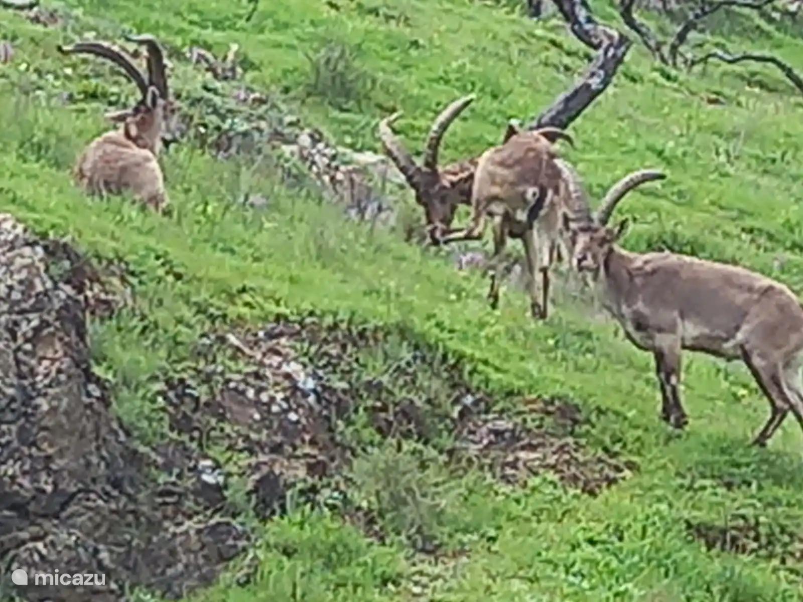 Maak kennis met de buren!