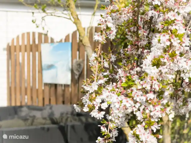 Maison de vacances en bord de mer | Pays-Bas, Zélande, Wemeldinge - maison de vacances jardin