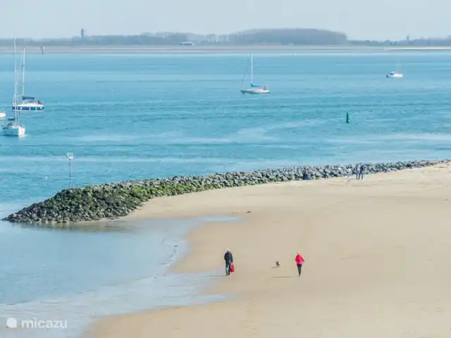 Maison de vacances en bord de mer | Pays-Bas, Zélande, Wemeldinge - maison de vacances Plage à une courte distance